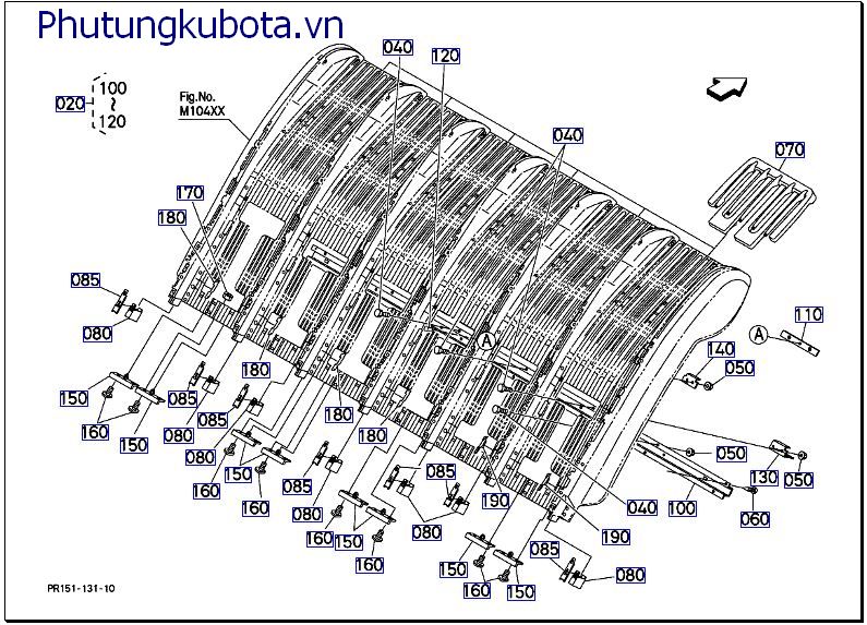 Khu vực trồng vườn ươm